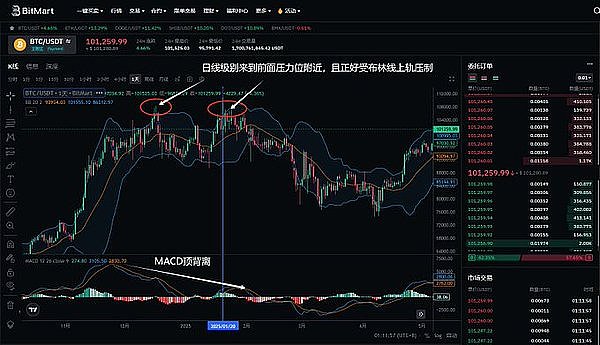市场脉搏：三大加密币交易机会深度解读