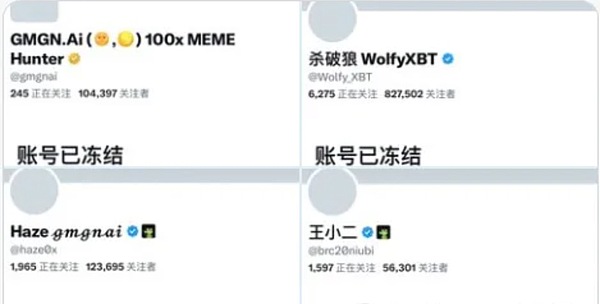 山寨币狂欢：这些潜力币种正引发市场热议