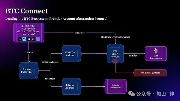 CRVS DAO：区块链合约革命中的弄潮儿