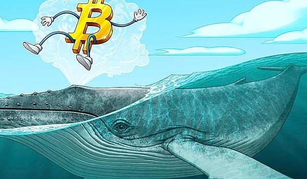 RWA流动性困局：中小企业数字化转型路上的生死劫