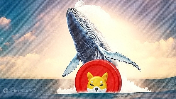 Storj：去中心化存储领域的隐形冠军正在崛起
