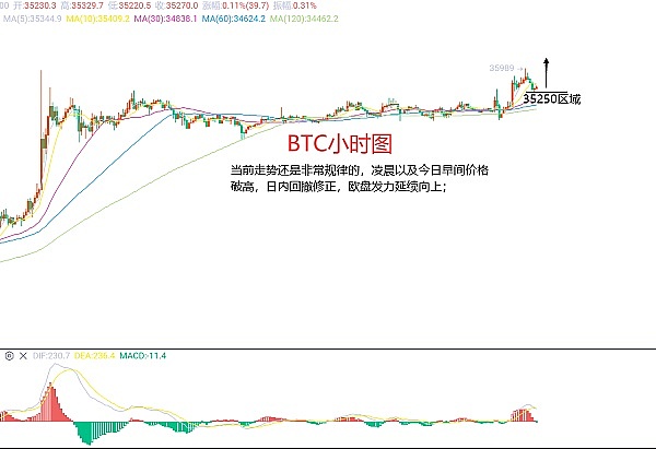 胖企鹅CEO深陷黑钱门：一场NFT世界的罗生门