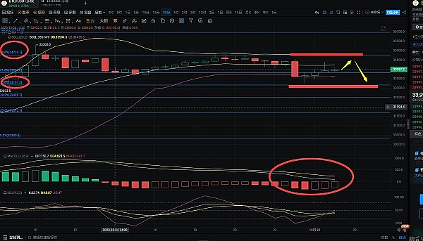深夜惊魂：比特币暴跌背后的投资哲学