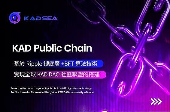 市场狂热将至：如何在加密狂潮中保持清醒