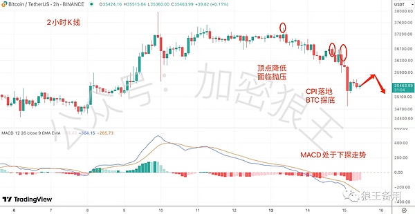 手把手教你开发首个Cartesi DApp：从零到一的完整指南
