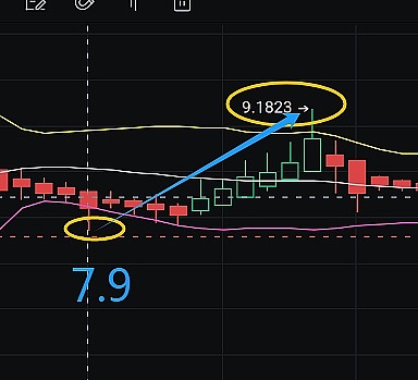 应用链：区块链世界的私人定制方案