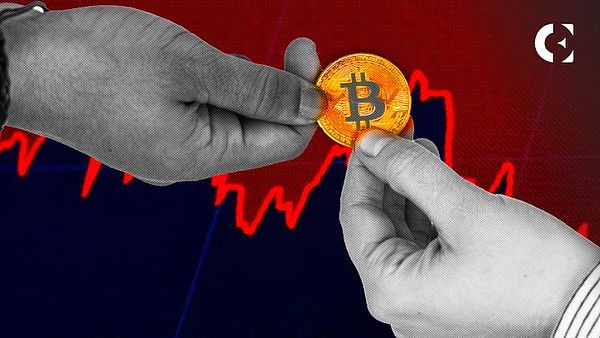 当商业精英遇见户外：一场关于冒险与平衡的生命对话